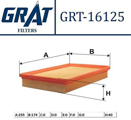 Grat 16125 Hava Filtresi Elantra 00>06 Cerato 04>10 Benzinlı