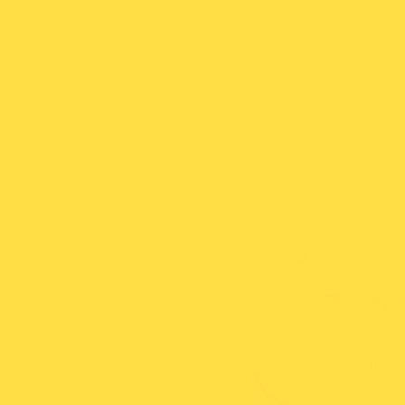 Gdx Seyyar Kağıt Sonsuz Stüdyo Fon Perde (Canary) 2.70x11 Metre