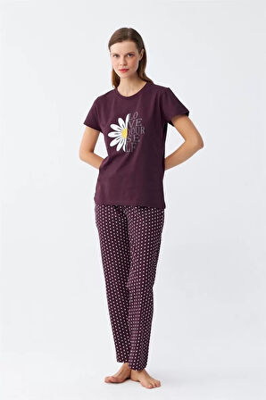 Moda Kadın Mürdüm Papatya Baskılı Kısa Kollu Penye Pijama Takımı