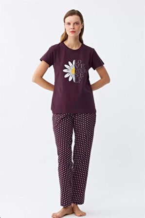 Moda Kadın Mürdüm Papatya Baskılı Kısa Kollu Penye Pijama Takımı