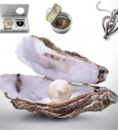Peluş ayıcık ve istiridye içinde gerçek inci kolye Kedi Çidarlı Bardak