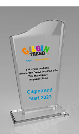 Firmalara Özel Kristal Ödül