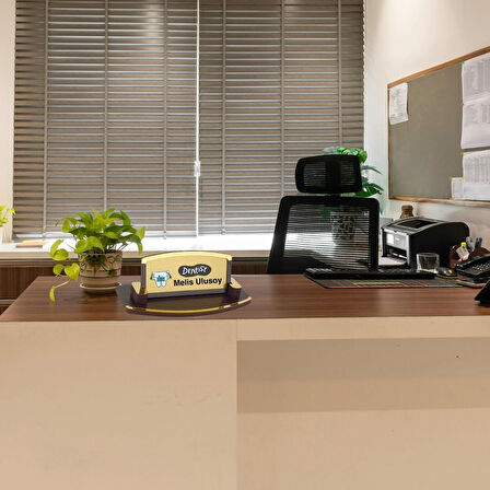 Kişiye Özel Diş Doktoru Masa İsimliği – Ahşap Şık Tasarım