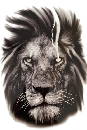 Karat Tattoo Aslan Desenli Su Geçirmez Geçici Dövme Kol Omuz Bacak Uyumlu Siyah Büyük Tattoo