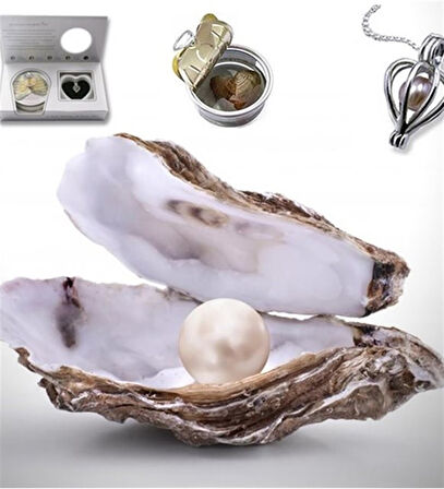 Kişiye Özel Fotoğraflı Hediye Seti | İstiridye Kolye ve Kelebek Tasarımlı Kupa