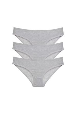 3 adet Süper Eko Set Likralı Kadın Slip Külot Gri mudanis