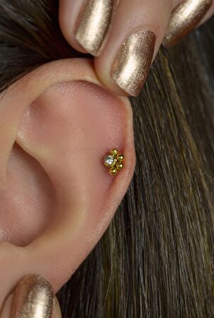 Gold Çelik Pati Model Piercing Tragus Helix Kıkırdak