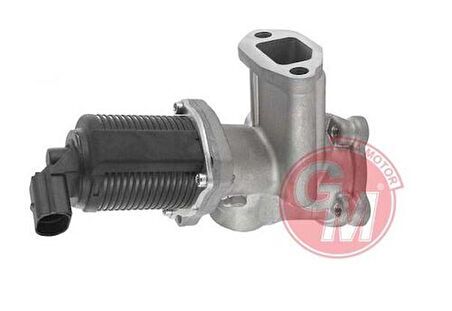 Gua 41140 EGR Valfi Fiat Albea Doblo 1.3Mjt 93196798 55206931