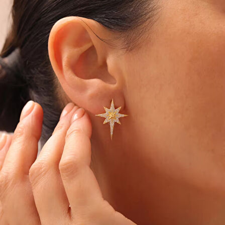 925 Ayar Gümüş Zirkon Taşlı Kutup Yıldızı Küpe (Gümüş)