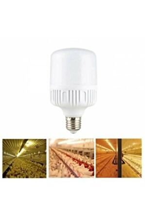 30 Watt Torch Ampul Büyük Günışığı Sarı Işık Smd Led Tasarruflu E27 Normal Duy Büyük Boy 160*100 Mm