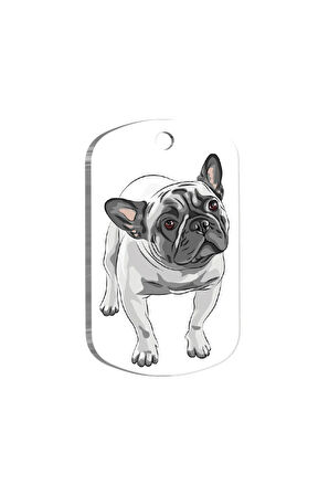 French Bulldog 3 Resimli Köpek Künyesi