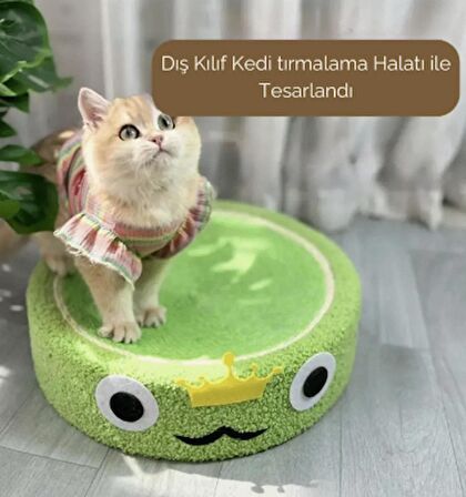 Kedi Tırmalama Alanı