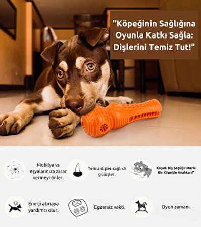 KÖPEK ISIRMALI OYUNCAK