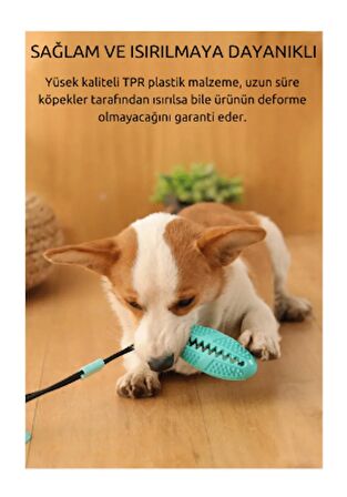 Köpek Çiğneme Oyuncağı