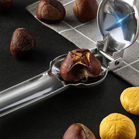 Profesyonel Metal Kestane Çizici Pense.Glpzr
