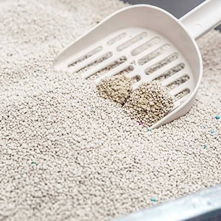 Proline Lavanta Kokulu Topaklanan Bentonit Kedi Kumu 10 Lt.Gzpde