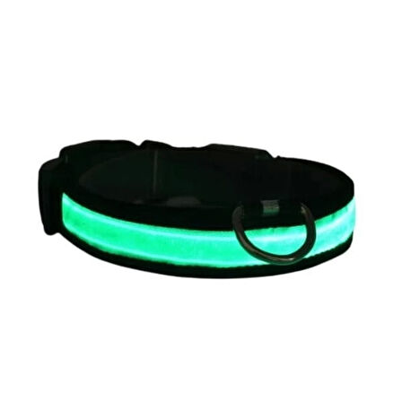 Petzz Işıklı Ayarlanabilir Flaşörlü Kedi ve Köpek Boyun Tasması Yeşil 45-52 Cm / 2.5 Cm.Gzpde