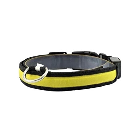 Petzz Işıklı Ayarlanabilir Flaşörlü Kedi ve Köpek Boyun Tasması Sarı 40-48 Cm / 2.5 Cm.Gzpde