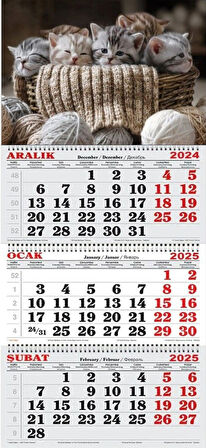 2025 Yılı Gemici Takvimi-Minnoş Kediler