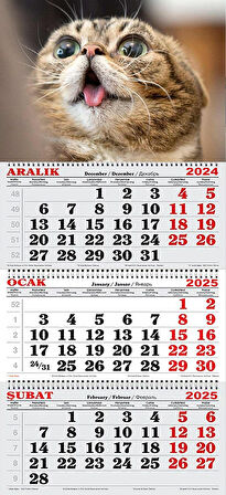 2025 Yılı Gemici Takvimi-Kedi