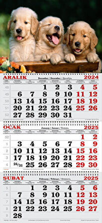 2025 Yılı Gemici Takvimi-Golden Kardeşler