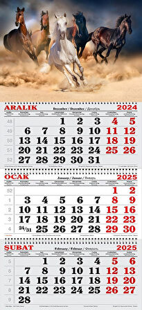 2025 Yılı Gemici Takvimi-Kır Atları