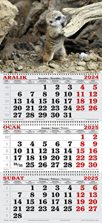 2025 Yılı Gemici Takvimi-Mirket