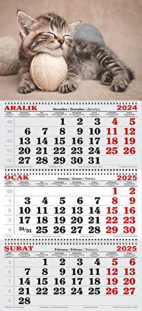 2025 Yılı Gemici Takvimi----MİNNOŞ TEKİR KEDİ