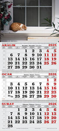 2026 Yılı Gemici Takvimi-Pencere Önünde Uyuyan Kedi