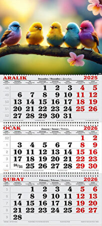 2026 Yılı Gemici Takvimi- Rengarenk Kuşlar