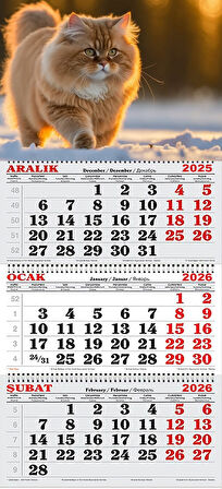 2026 Yılı Gemici Takvimi- Karda Yürüyen Kedi