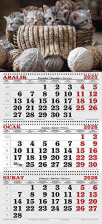 2026 Yılı Gemici Takvimi-Minnoş Kediler