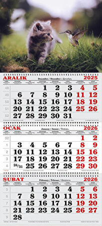  2026 Yılı Gemici Takvimi-Kedi ve Kuş