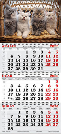 2026 Yılı Gemici Takvimi-Yavru Kediler