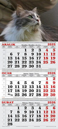 2026 Yılı Gemici Takvimi-Maya...