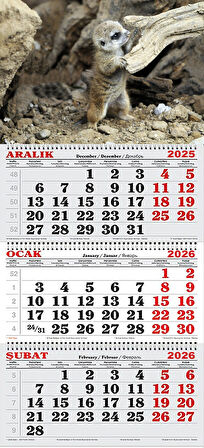 2026 Yılı Gemici Takvimi-Mirket