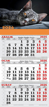 2026 Yılı Gemici Takvimi-Kara Kedi