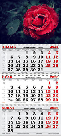 2026 Yılı Gemici Takvimi- Kırmızı Gül