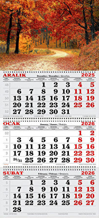 2026 Yılı Gemici Takvimi- Sonbahar ve Ağaçlı Yol