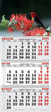 2026 Yılı Gemici Takvimi- Kızıl Bal Kuşu