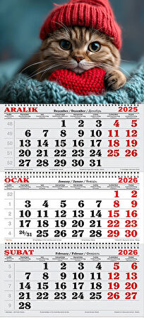 2026 Yılı Gemici Takvimi- Kırmızı Bereli Kedi