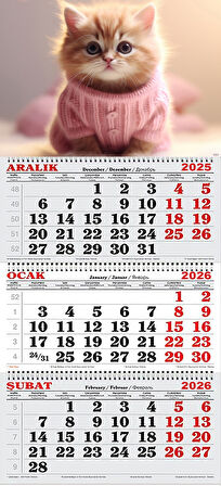 2026 Yılı Gemici Takvimi- Pembe Kazaklı Yavru Kedi