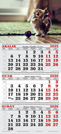 2026 Yılı Gemici Takvimi- Yavru Kedi ve Oyuncağı