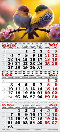 2026 Yılı Gemici Takvimi- Rengarenk Kuşlar