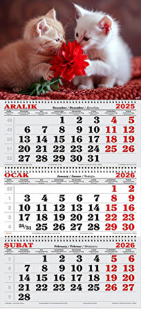 2026 Yılı Gemici Takvimi- Yavru Kediler ve Kırmızı Çiçek