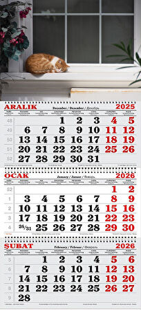 2026 Yılı Gemici Takvimi-Camın Önündeki Kedi