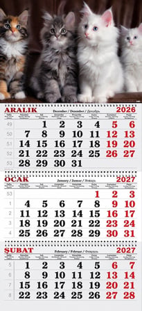 2027 Yılı Gemici Takvimi-Şaşkın Kediler