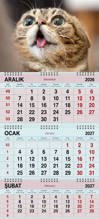 2027 Yılı Gemici Takvimi-Kedi