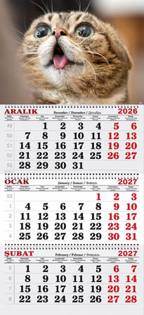2027 Yılı Gemici Takvimi-Kedi