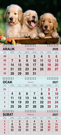 2027 Yılı Gemici Takvimi-Golden Kardeşler
